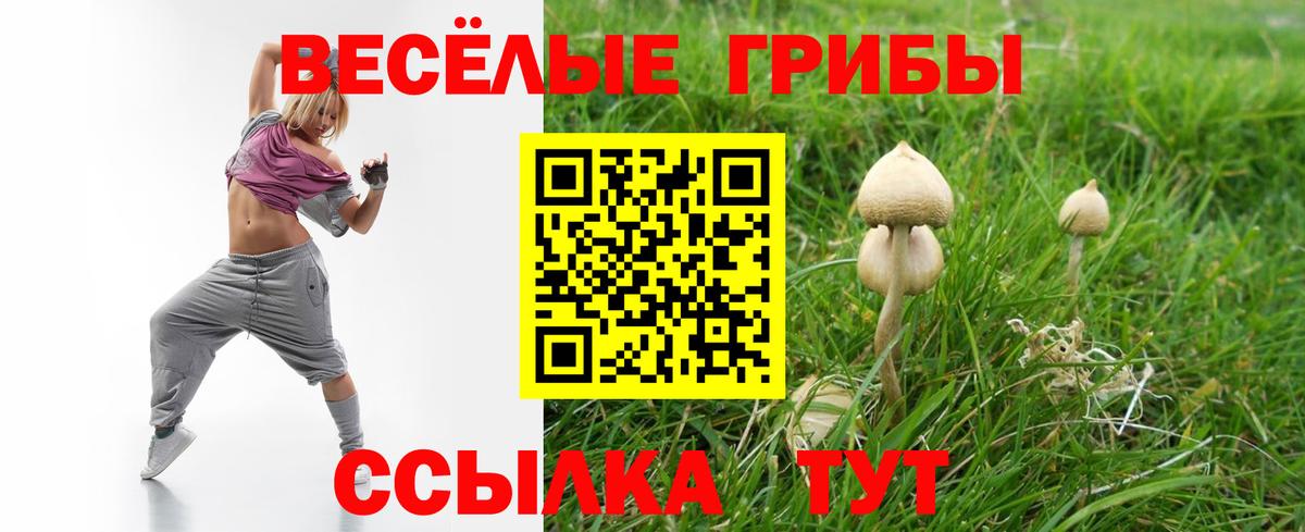 Галлюциногенные грибы Magic Shrooms  продажа наркотиков  Анжеро-Судженск  Вход с VPN  Галлюциногенные грибы ЛСД 